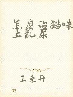 怎么治猫咪在床上乱尿封面