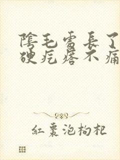 阴毛处长了个小硬疙瘩不痛不痒封面