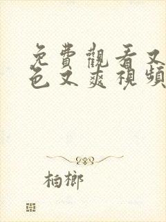 免费观看又黄又色又爽视频