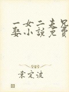 一女二夫兄弟共娶小说免费阅读