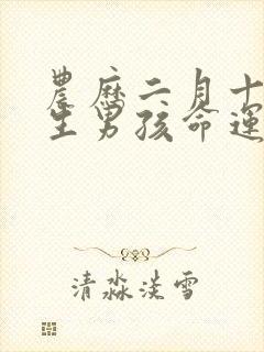 农历二月十九出生男孩命运封面