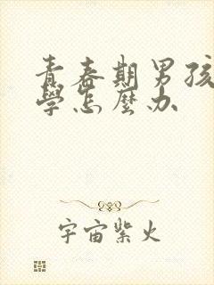 青春期男孩的厌学怎么办封面