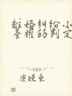 离婚纠纷小孩抚养权的判定封面