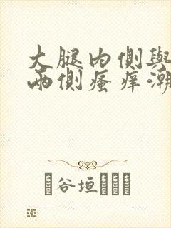 大腿内侧与阴囊两侧瘙痒潮湿用什么药膏封面