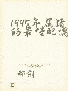 1995年属猪的最佳配偶属相婚配表