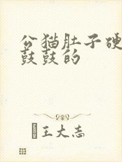 公猫肚子硬硬的鼓鼓的