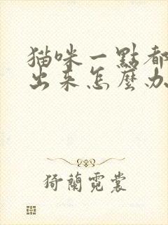 猫咪一点都尿不出来怎么办