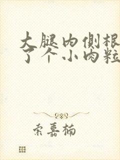 大腿内侧根部长了个小肉粒