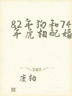82年狗和74年虎相配婚姻如何