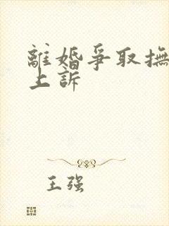 离婚争取抚养权上诉封面