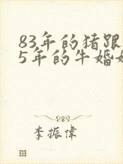 83年的猪跟85年的牛婚姻怎么样