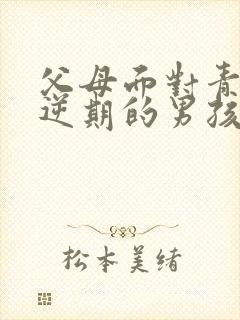 父母面对青春叛逆期的男孩怎么办封面