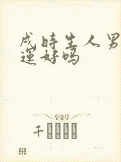 戌时生人男孩命运好吗