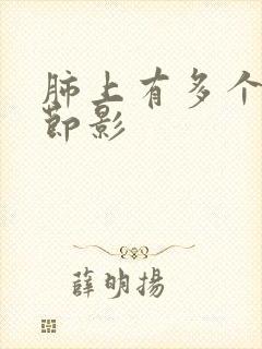 肺上有多个小结节影