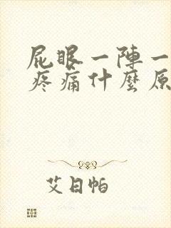 屁眼一阵一阵的疼痛什么原因