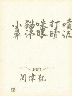 小猫咪打喷嚏流鼻涕眼睛流分泌物