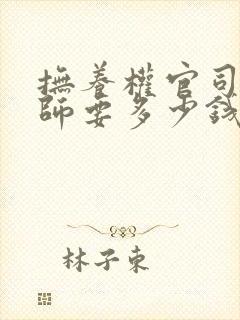 抚养权官司请律师要多少钱