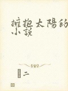 拥抱太阳的月亮小说