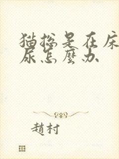 猫总是在床上拉尿怎么办封面