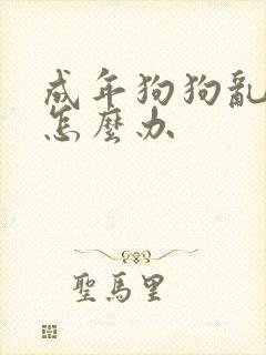 成年狗狗乱拉尿怎么办