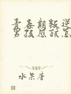 青春期叛逆厌学男孩应该怎么办