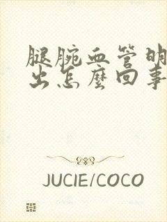 腿腕血管明显突出怎么回事