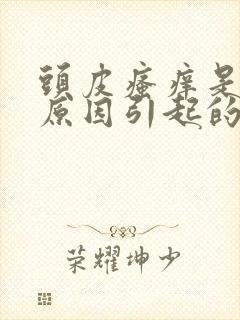 头皮瘙痒是什么原因引起的封面