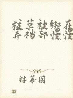 校草被绑在床玩弄裆部慢慢脱裤子文