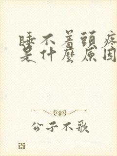 睡不着头疼头晕是什么原因封面