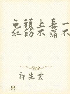 龟头上长一颗颗红的不痛不痒