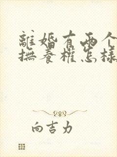 离婚有两个小孩抚养权怎样判定