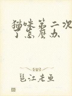 猫咪第二次尿闭了怎么办