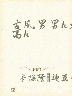 古风男男h文肉高h