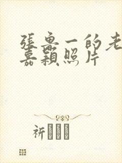 张鲁一的老婆谢嘉颖照片