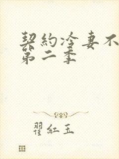 契约冷妻不好惹第二季封面