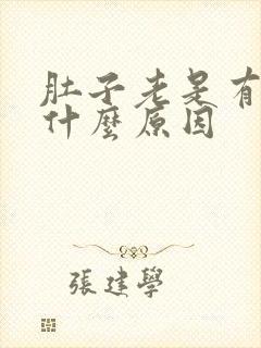 肚子老是有点疼什么原因