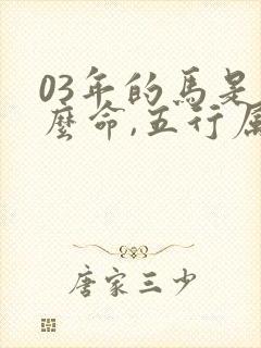 03年的马是什么命,五行属性