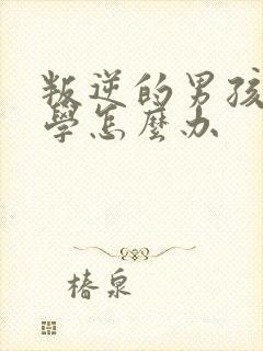 叛逆的男孩子厌学怎么办