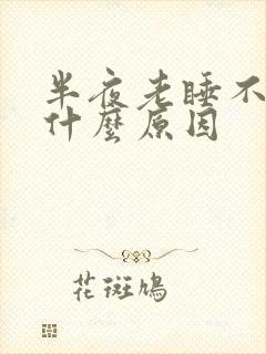 半夜老睡不着是什么原因