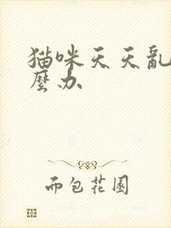 猫咪天天乱尿怎么办