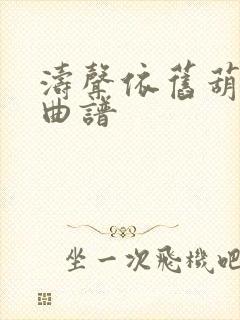 涛声依旧葫芦丝曲谱