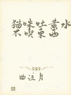 猫咪吐黄水拉稀不吃东西