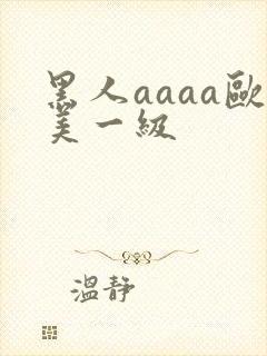 黑人aaaa欧美一级封面