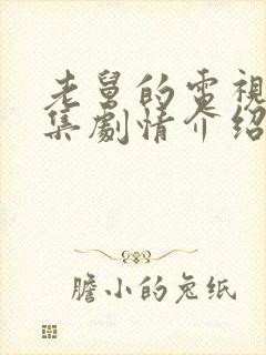 老舅的电视剧分集剧情介绍封面