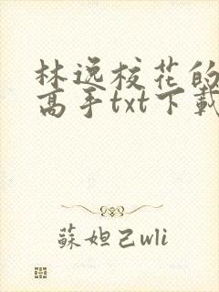 林逸校花的贴身高手txt下载封面