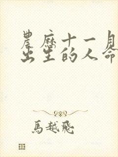 农历十一月初三出生的人命运