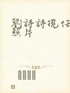 刘诗诗现任丈夫照片