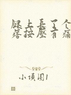 腿上长了个硬疙瘩按压有痛感封面