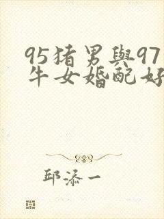 95猪男与97牛女婚配好不好
