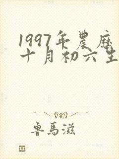 1997年农历十月初六生男孩命运怎么样